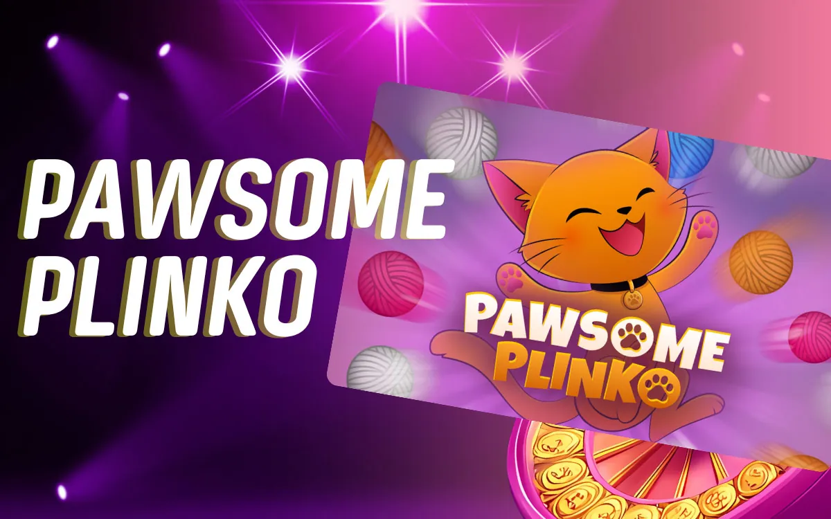 Game Overview PawSome Plinko